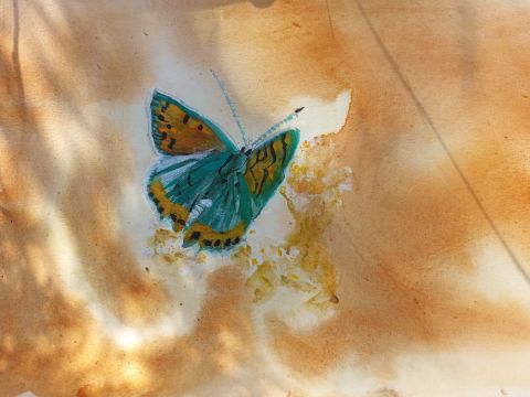 Papillon